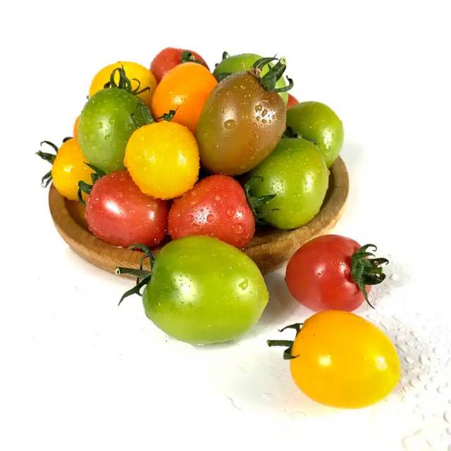 自然熟彩色水果番茄（绿色食品认证）480g/盒