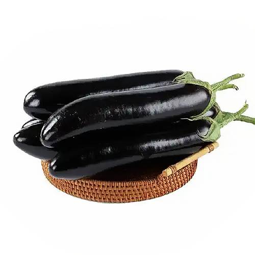 现摘墨茄  2根/份